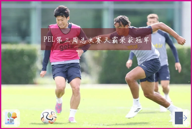 PEL第三周总决赛天霸荣获冠军