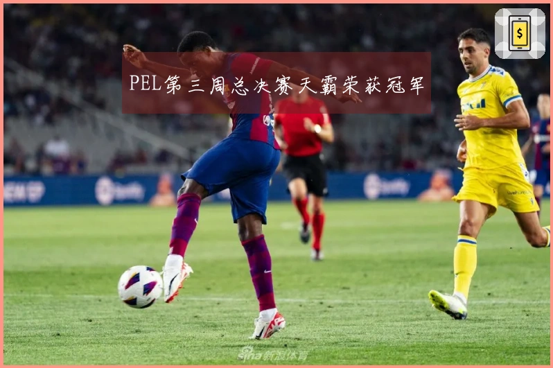 PEL第三周总决赛天霸荣获冠军